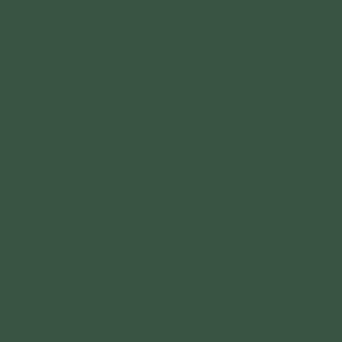 Palace Imports Solid Wood Kitchen Pantry Cabinet w/Frosted Glass Doors - Narrow Storage Cabinet - 16.5" Wide x 71.5" Tall - Green, Adjustable Shelves, 100% Eco-Friendly Wood, Modular Cabinets