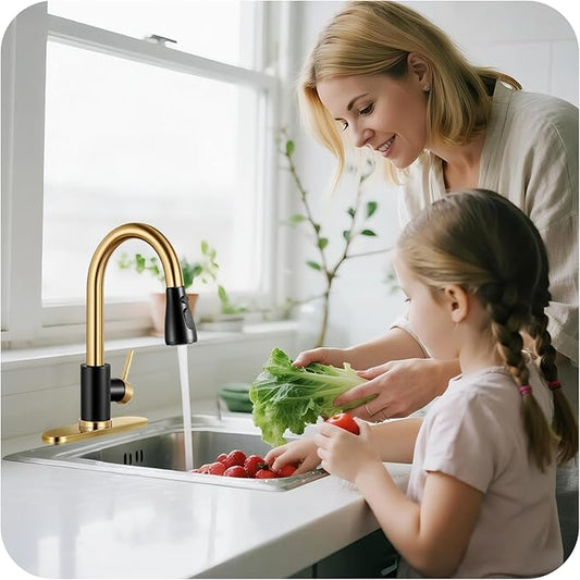 Kitchen Faucet with Pull Down Sprayer - Black & Gold Single Handle Kitchen Faucets, High Arc Stainless Steel Pull Out Kitchen Sink Faucet with Deck for RV Laundry Farmhouse Bar