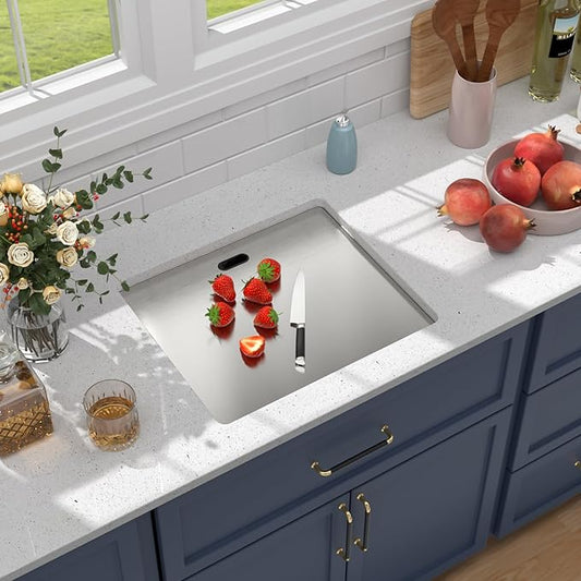 Outdoor Sink 21x18x9 Inch Undermount Bar Sink With Faucet and Cover 16 Gauge Stainless Steel Single Bowl Sinks with Folding Faucet Indoor Outdoor