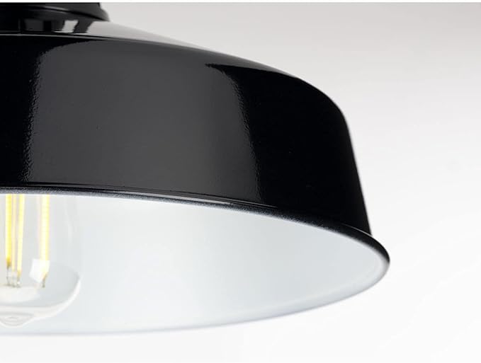 Progress Lighting Cedar Springs Collection 1-Light Farmhouse Outdoor Semi-Flush Mount Light Gloss Black, 9.50x13.25x13.25