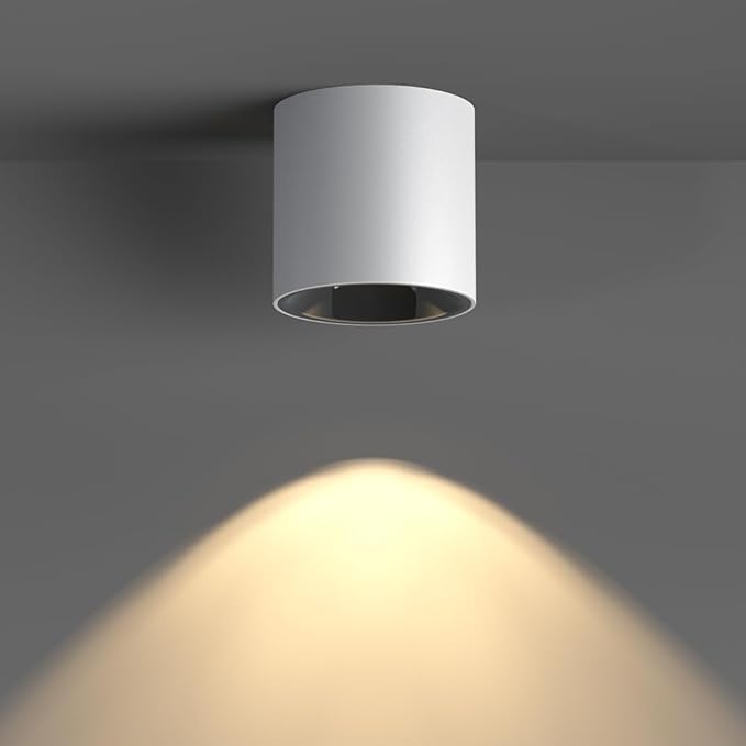 JAYMP Modern LED Ceiling Spotlight 3000K Dimmable 24W White Surface Mount Cylinder Down Light for Living Room Hallway Laundry Room