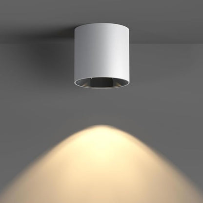 JAYMP Modern LED Ceiling Spotlight 3000K Dimmable 24W White Surface Mount Cylinder Down Light for Living Room Hallway Laundry Room