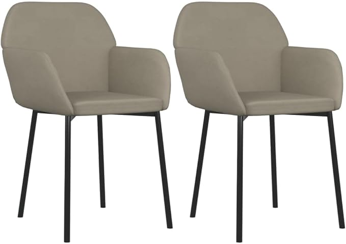 Set of 2 Modern Light Grey Velvet Dining Chairs 23.2"x21.3"x29.9", Ergonomic Farmhouse Accent Seat for Kitchen Comedor Living Room Bedroom