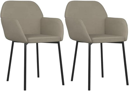 Set of 2 Modern Light Grey Velvet Dining Chairs 23.2"x21.3"x29.9", Ergonomic Farmhouse Accent Seat for Kitchen Comedor Living Room Bedroom
