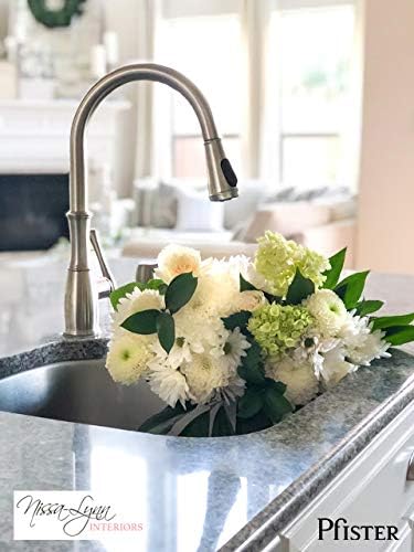 Pfister Wheaton Kitchen Faucet with Pull Down Sprayer and Soap Dispenser, Single Handle, High Arc, Stainless Steel Finish, GT529WH1S