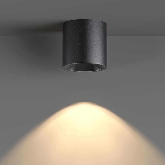 JAYMP Modern LED Ceiling Spotlight 3000K Dimmable 24W Black Surface Mount Cylinder Down Light for Living Room Hallway Laundry Room
