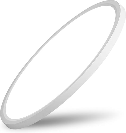 20 Inch Large LED Flush Mount Ceiling Light, 42W 4200LM Dimmable & 3000K/4000K/6000K Selectable, Low Profile Ceiling Fixtures for Bedroom Apartment Laundry Room Kitchen, White