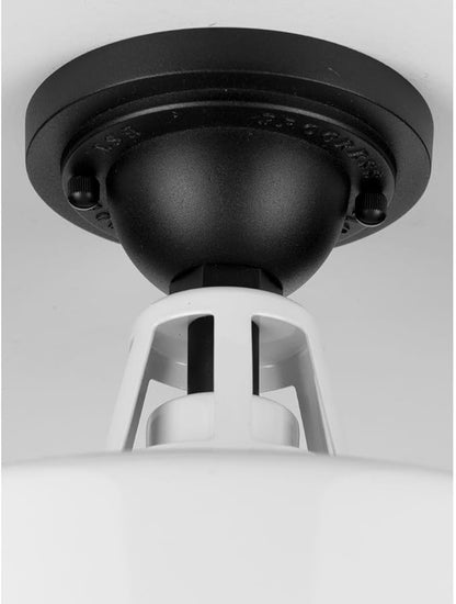 Progress Lighting Cedar Springs Collection 1-Light Farmhouse Outdoor Semi-Flush Mount Light White, 9.50x13.25x13.25
