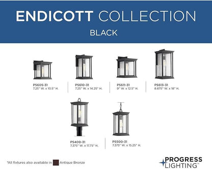 Progress Lighting Endicott Collection 1-Light Clear Seeded Glass Craftsman Outdoor Medium Wall Lantern Light Textured Black