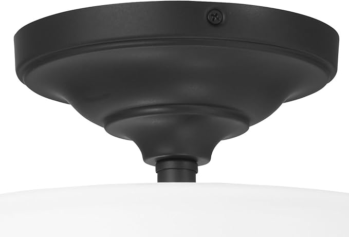 Minka Lavery 4172-66A Harbour Point Semi-Flush, 2-Light, 120 Total Watts, 13.5-in H x 10.75-in W, Coal Black