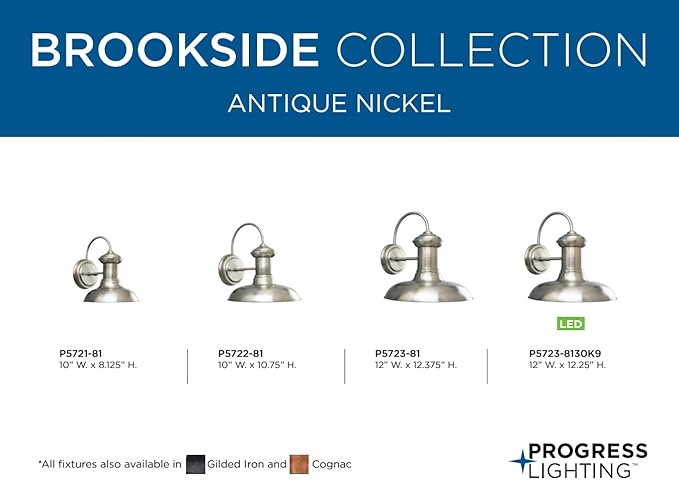 Progress Lighting P5721-81 1-Light Wall Lantern, Antique Nickel