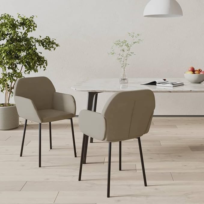 Set of 2 Modern Light Grey Velvet Dining Chairs 23.2"x21.3"x29.9", Ergonomic Farmhouse Accent Seat for Kitchen Comedor Living Room Bedroom