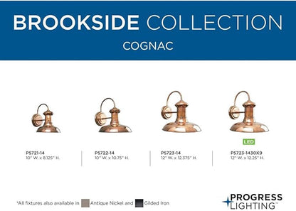 Progress Lighting P5721-14 Brookside Outdoor, 8-Inch Width x 9-3/4-Inch Height, Brown