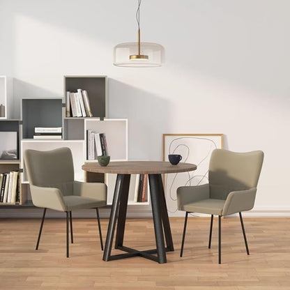 Light Gray Velvet Dining Chairs 2-Piece Set with Sturdy Metal Frame, Ergonomic Armrests for Kitchen, Living Room, Modern Farmhouse Furniture