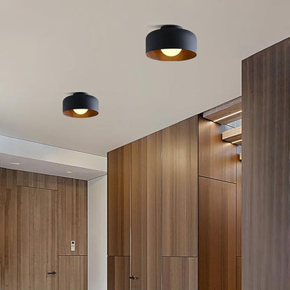 Staircase Flush Mount Ceiling Light Fixture 8.6in Rust-Proof Iron Ceiling Lamp G9 5W Warm Light 3000K Close to Ceiling Light Retro Industrial Interior for Shops, Hostels, Clothing Stores