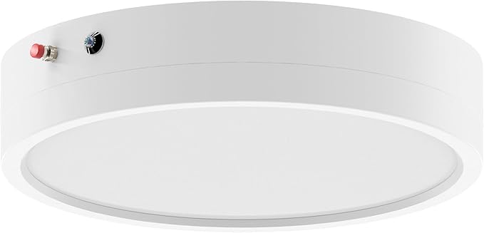 ZAGO LED Ceiling Lights with Emergency Lighting: 7 Inch Flush 5CCT Dimmable Disk Lamp with Emergency Battery Backup for Household Hall Living Bedroom Kitchen Hotel Apartment, 120-277V, ETL/Wet Rated