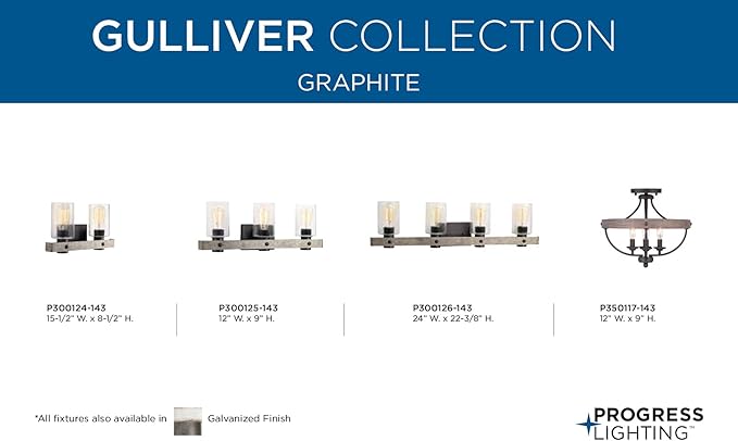 Progress Lighting Gulliver Collection 3-Light Clear Seeded Glass Coastal Bath Vanity Light Graphite