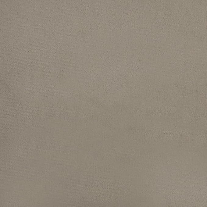 Set of 2 Light Grey Velvet Dining Chairs with Padded Armrests Modern Furniture for Kitchen Dining Room Comfortable Indoor Seating