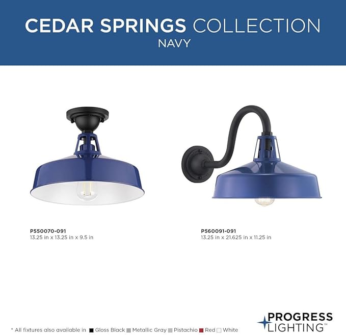Progress Lighting Cedar Springs Collection 1-Light Farmhouse Outdoor Semi-Flush Mount Light Navy