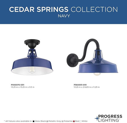 Progress Lighting Cedar Springs Collection 1-Light Farmhouse Outdoor Extra-Large Wall Lantern Light Navy