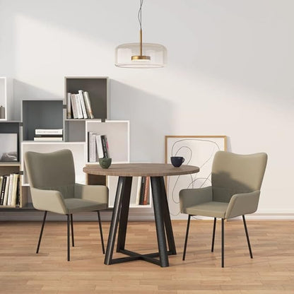 Set of 2 Light Grey Velvet Dining Chairs with Padded Armrests Modern Furniture for Kitchen Dining Room Comfortable Indoor Seating