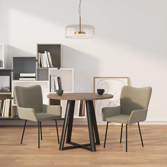 Set of 2 Light Grey Velvet Dining Chairs with Padded Armrests Modern Furniture for Kitchen Dining Room Comfortable Indoor Seating