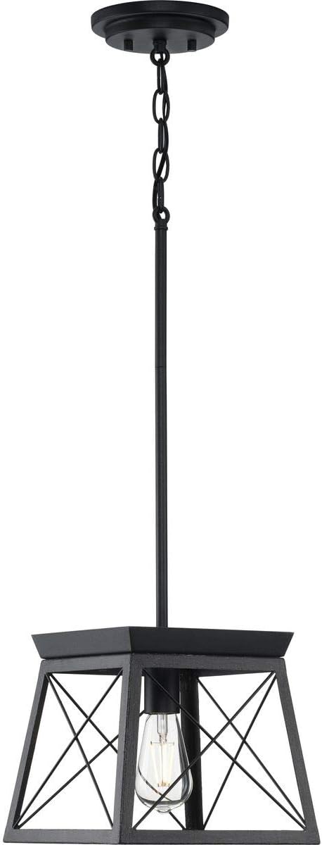 Progress Lighting P500041-031 Briarwood Pendants, Ceruse Black 9.00x10.00x10.00