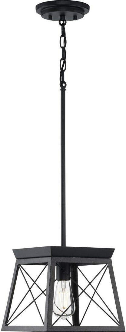 Progress Lighting P500041-031 Briarwood Pendants, Ceruse Black 9.00x10.00x10.00