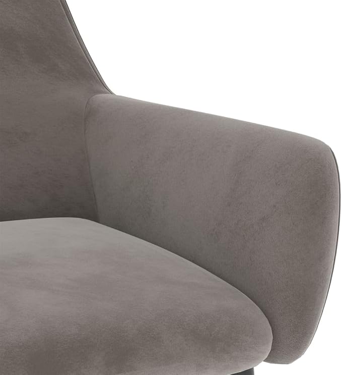 Light Gray Velvet Dining Chairs Set of 2, 22x22x30.7 in, Metal Legs, Ergonomic Back & Armrest for Dining Kitchen Living Bedroom Office