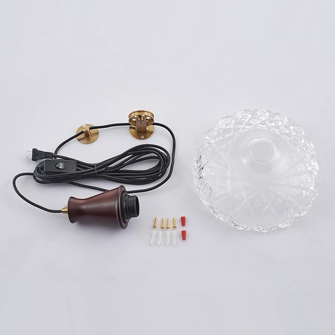 YLONG-ZS Plug in Pendant Light,8 Inch Glass Lampshade Hanging Lights with Plug in Cord Two Ways Switches Industrial Brass Pendant Lights with Plug in Cord for Bedroom