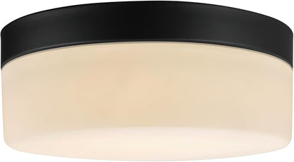 Globe Electric 44658 Mark LED Integrated Outdoor Flush Mount Ceiling Light, Black, Frosted Glass Shade, 2000 Lumen