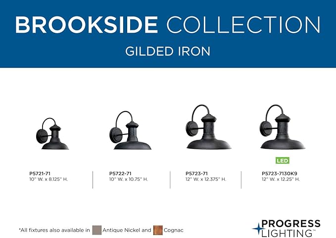 Progress Lighting P5722-71 Brookside Outdoor, 10-Inch Width x 10-3/4-Inch Height, Black