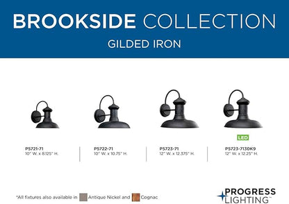 Progress Lighting P5722-71 Brookside Outdoor, 10-Inch Width x 10-3/4-Inch Height, Black