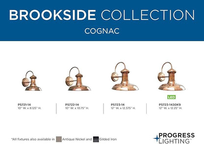 Progress Lighting Brookside Collection 1-Light Outdoor Wall Light, Exterior Wall Lights for Garage Lights, Porch Light, Garages, 12" by 12.375", Copper Finish