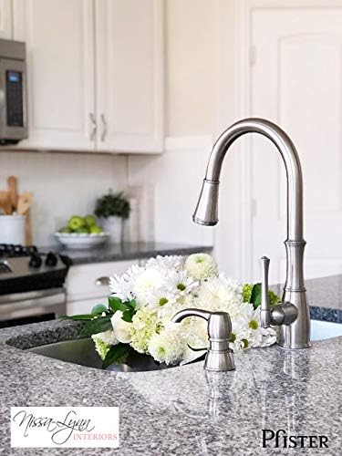 Pfister Wheaton Kitchen Faucet with Pull Down Sprayer and Soap Dispenser, Single Handle, High Arc, Stainless Steel Finish, GT529WH1S