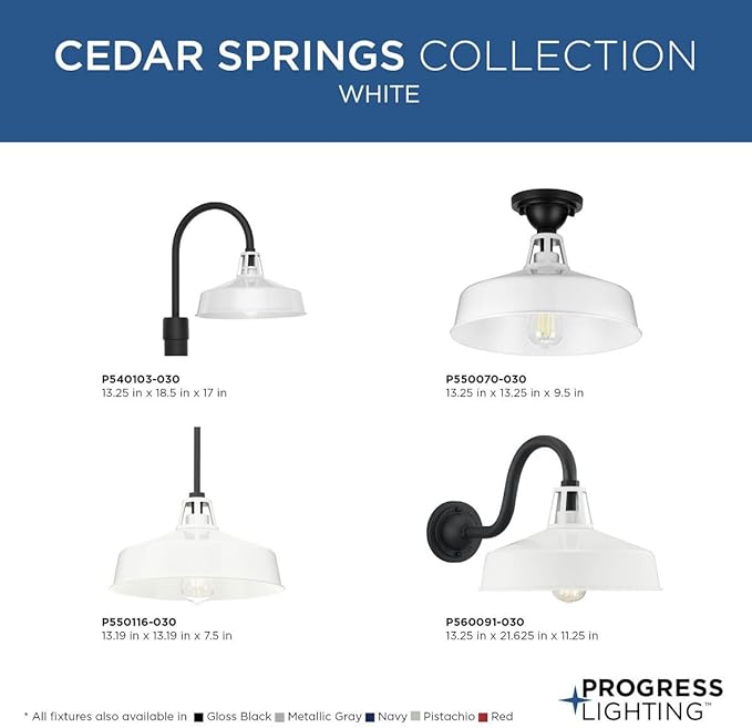 Progress Lighting Cedar Springs Collection 1-Light Farmhouse Outdoor Semi-Flush Mount Light White, 9.50x13.25x13.25