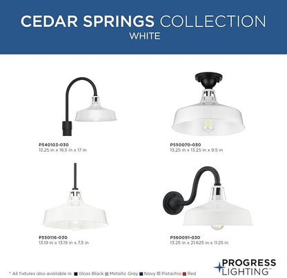 Progress Lighting Cedar Springs Collection 1-Light Farmhouse Outdoor Semi-Flush Mount Light White, 9.50x13.25x13.25