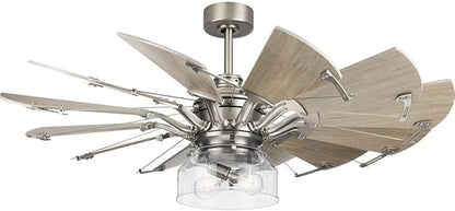 Progress Lighting Clear Glass Ceiling Fan Light Kit for Springer Collection 52 Inch Ceiling Fans, Includes 2 Light Bulbs, Antique Nickel