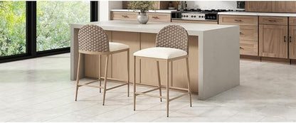 Farmhouse Barstools with Rattan Backrest for Kitchen Island Counter Seating