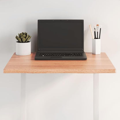 23.6 x 23.6 in Solid Oak Tabletop Live Edge Rustic Wood Slab Countertop for Dining Room Kitchen Office Desk, Durable Varnished Square Table Top for Indoor Space