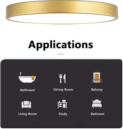2 Pack Gold Flush Mount Ceiling Light, 12 Inch Metal Modern Round Gold Light Fixtures - 3 Colors, 3000K-5000K LED, 20W Low Profile Ceiling Lighting for Bedroom, Living Room, Hallway