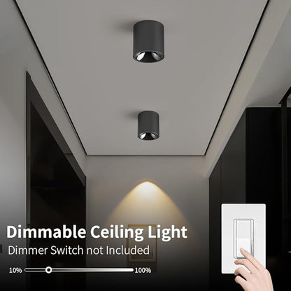 JAYMP Modern LED Ceiling Spotlight 3000K Dimmable 24W Black Surface Mount Cylinder Down Light for Living Room Hallway Laundry Room