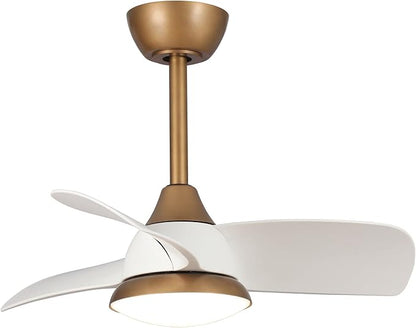 28 Inch White Gold Ceiling Fan with Light and Remote, Modern Small Ceiling Fan with Dimmable LED, 6-Speed Quiet DC Motor, Reversible Airflow, Use for Bedroom, Dining Room, Kitchen