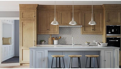 Progress Lighting 1-Light Fresnel Glass Coastal Pendant Light, Fresnel Lens Collection , Indoor, P5188-09, Brushed Nickel