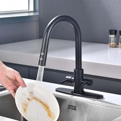 Kitchen Faucet, Two Handles Sink Faucet with Sprayer, Stainless Steel, Matte Black, PB1047