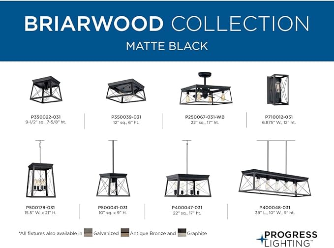 Progress Lighting 1-Light Ceiling Light, Flush Mount Ceiling Light Fixture for Interior Kitchen Lights, Hallway, Bedroom, Living Room, 9.5-Inch by 9.5-Inch, Briarwood Collection, Textured Black