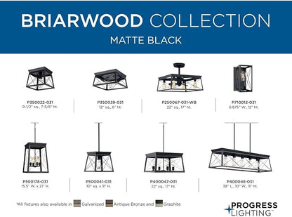 Progress Lighting Briarwood Collection 2-Light Ceiling Light, Flush Mount Ceiling Light Fixture for Interior Kitchen Lights, Hallway, Bedroom, Living Room, 12-Inch by 6-Inch, Textured Black