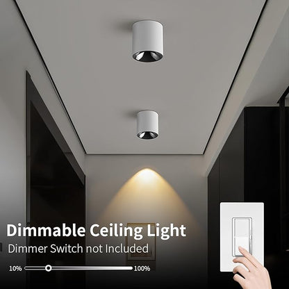JAYMP Modern LED Ceiling Spotlight 3000K Dimmable 24W White Surface Mount Cylinder Down Light for Living Room Hallway Laundry Room