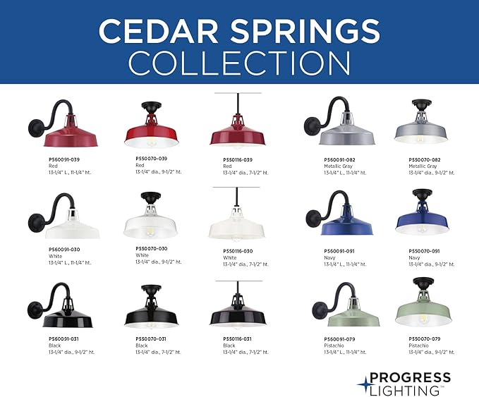 Progress Lighting Cedar Springs Collection 1-Light Farmhouse Outdoor Extra-Large Wall Lantern Light White