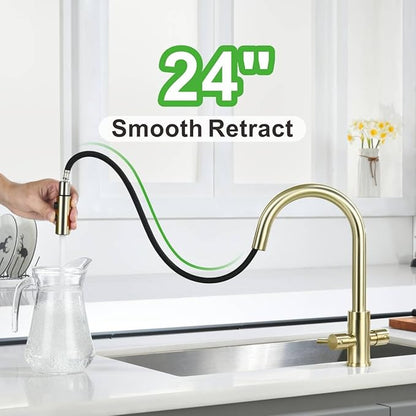 Kitchen Sink Faucet, 2 Handles Pull Down with Sprayer, Brushed Gold, PB1056